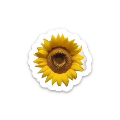 hand holding a sunflower with medium sized acylics on her nails  sticker