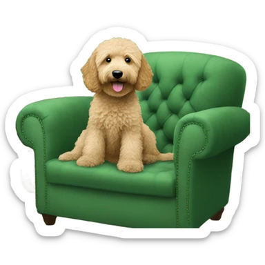 Goldendoodle on green couch sticker