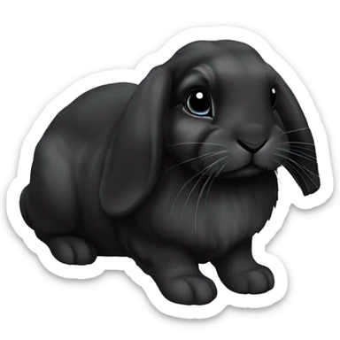 Holland lop black bunny sticker