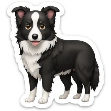 bordercollie sticker