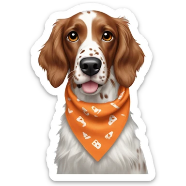 orange belton english setter with virginia tech bandana sticker
