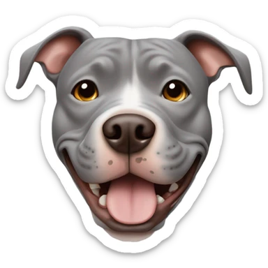 Grey pitbull with browns eyes and happy expression sticker