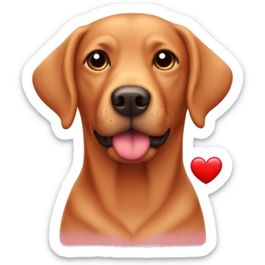 Red Labrador holding a heart sticker