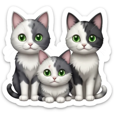 3 different coloured small cats including a dark grey and white, and a patchy calico and a completely solid dark grey with green eyes and only white paws sticker