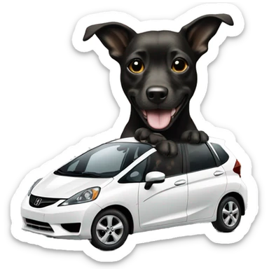 dog driving 2013 black honda jazz sticker