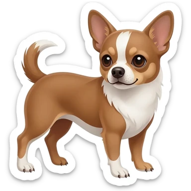 Chihuahua marron et blanc au ventre sticker