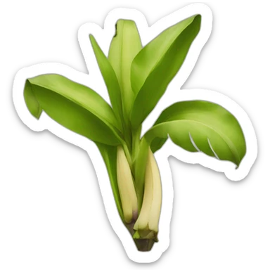 banana flower sticker