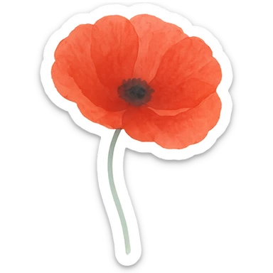 close-up of a poppy, realistic textures, vivid red petals, no background sticker