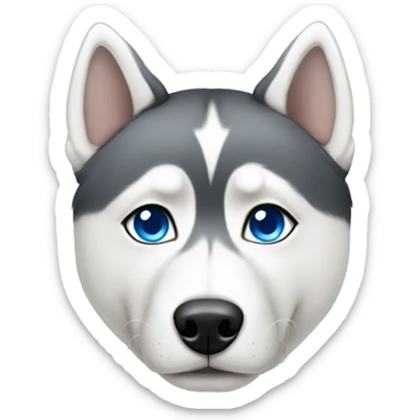 Short haired Siberian husky with blue eyes sticker