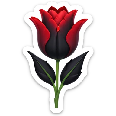 single goth tulip with black petals and heart-shaped tag sticker