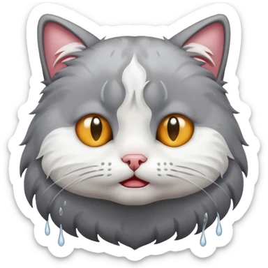 Ağlayan kedi sticker