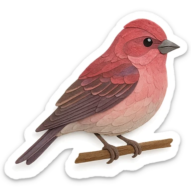 purple finch sitting on a branch, delicate paper layers, realistic feather patterns, subtle color variations sticker