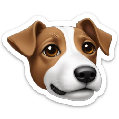 Jack russel noir et blanc avec des taches marron avec oreille dressée sticker