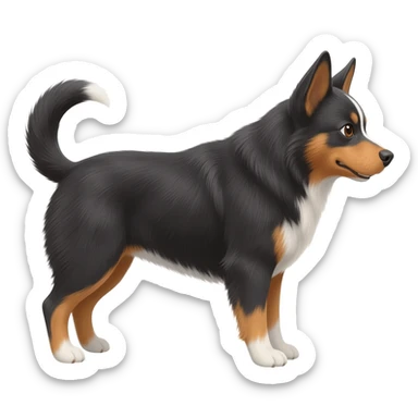 black, brown, and white Australian Shepherd/Blue Heeler mix sticker
