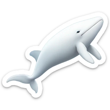 white whale , underside sticker