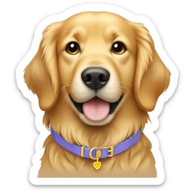 golden retriever wearing a friendship collar sticker