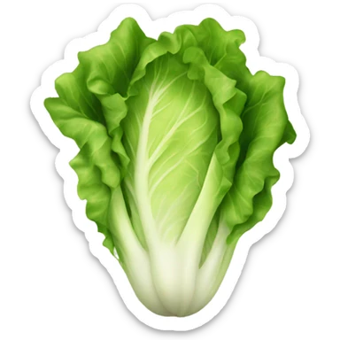 A lettuce with a lovely face sticker