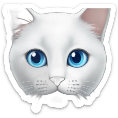 White cat with blue eyes have a party sticker