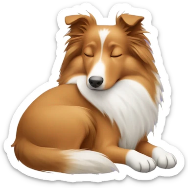 sleeping shetland sheepdog sticker