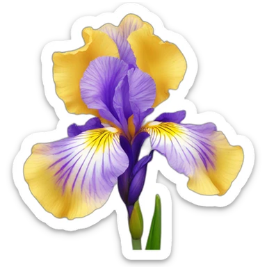 Iris flower sticker