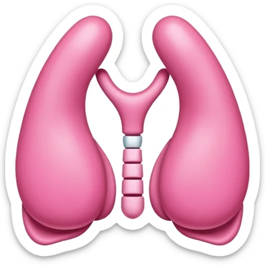 Thyroid gland  sticker