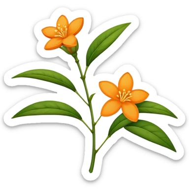 single Orange Jasmine, straight stem sticker