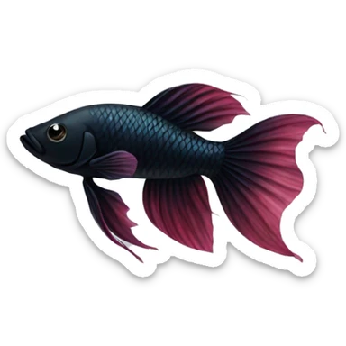 Black beta fish sticker