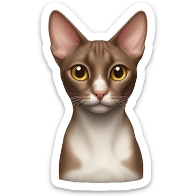 chocolate-like oriental cat white nose  sticker