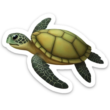 Sea turtle with a starfish on it sticker