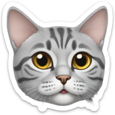 cat-grey-American shorthair cat-A puzzled expression sticker