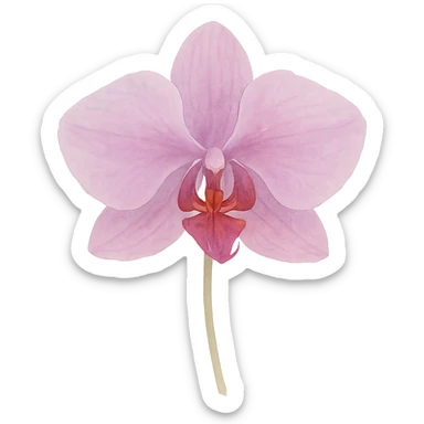 very detailed orchid, delicate petals, vibrant purples and pinks, soft gradients, realistic botanical details, watercolor art style sticker