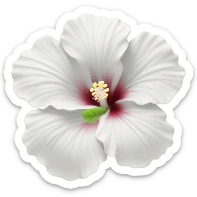 White Hibiscus Flower sticker