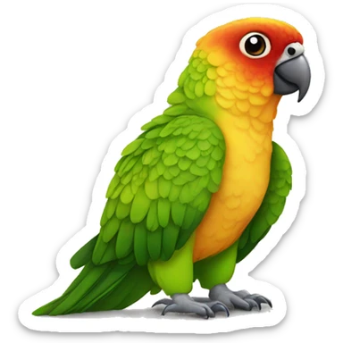 conure sticker