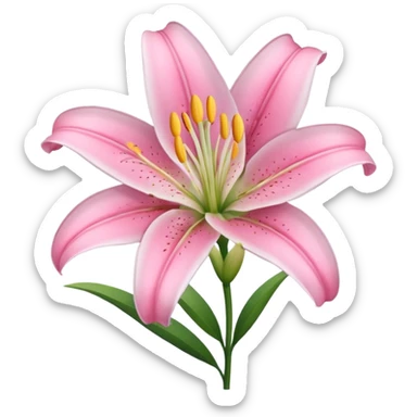 Lily flower pink sticker