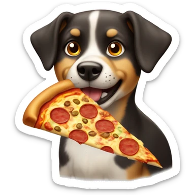 heeller dog with a pizza sticker