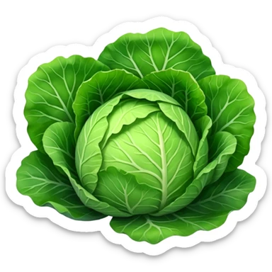 cabbage sticker
