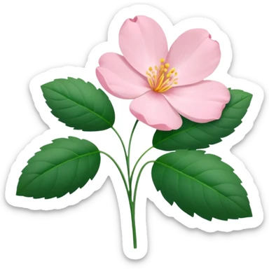 Aesthetic flowers and plants growing from the ground in colours of soft pink matching the deep green leaves (to describe/match with the word flourish) sticker