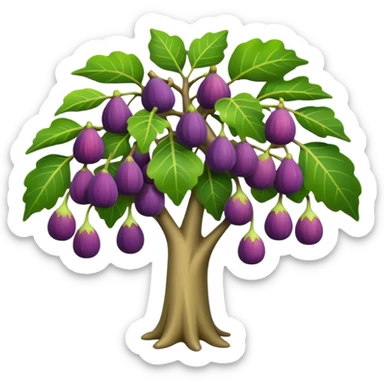 fig tree  sticker