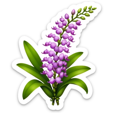 luxuriant bouquet Rhynchostylis Orchid, stem, leaf sticker