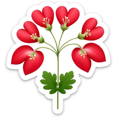 Dicentra spectabilis in red. Single one sticker