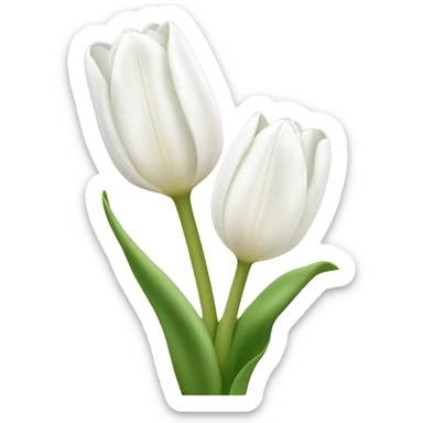 White tulips ￼ sticker