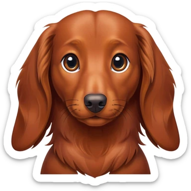 Red brown Long haired dachshund facing straight  sticker