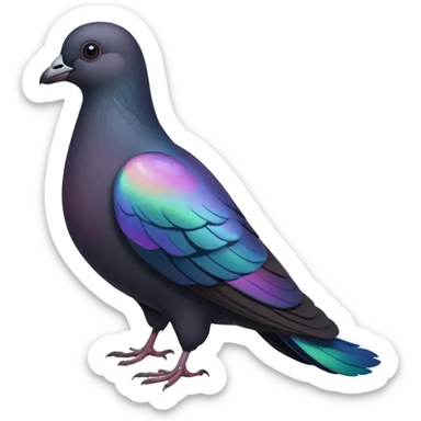 black pigeon sticker