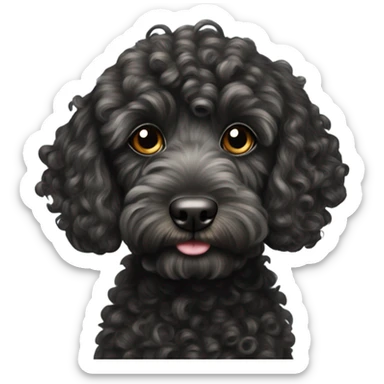 Black curly cockapoo with a wire stripe  sticker