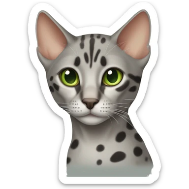 Short-haired oriental cat , grey coat with spots , green eyes , terracotta nuzzle sticker