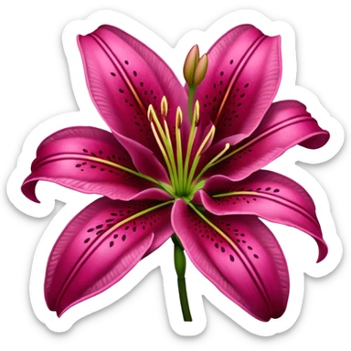 dark pink lilium sticker