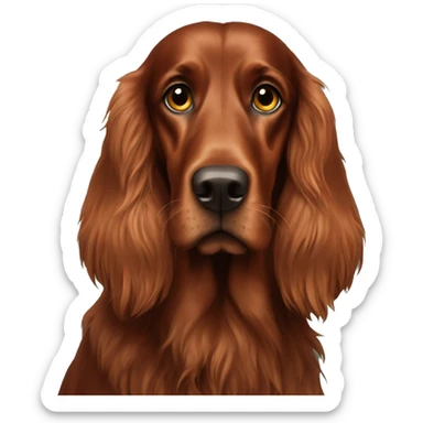 irish setter with small eyes sticker