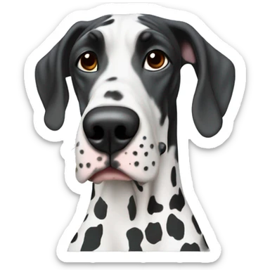 Harlequin Great Dane with laptop sticker