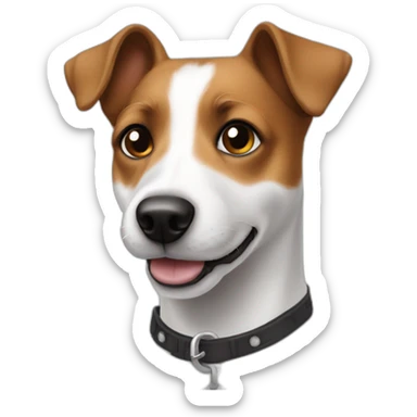 Jack russel with one white eye sticker