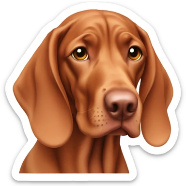 Hungarian vizsla sticker